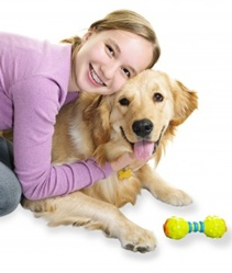 Hund trainieren - Effektives Hundetraining