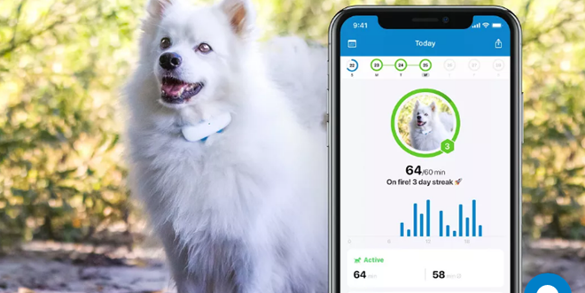 tractive gps dog