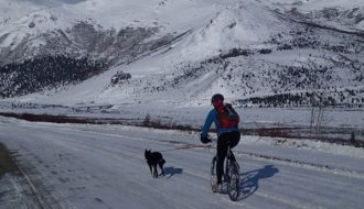 radfahren mit hund lernen