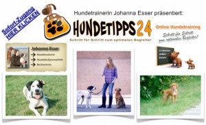 Online Hundetraining Johanna Esser