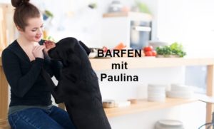 paulina adamczyk dogtisch academy